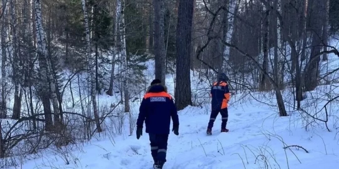 Пропавшие в лесу: самые странные случаи исчезновений в национальных парках