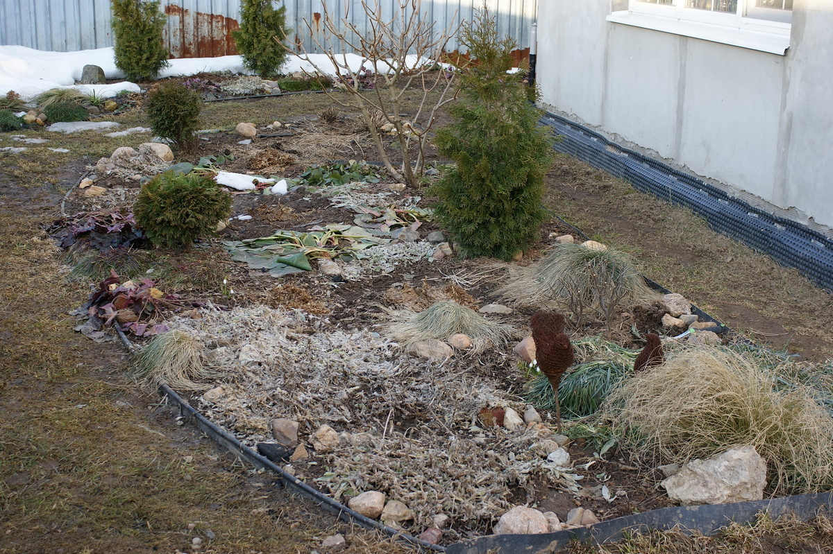 Тот небольшой островок снега вдалеке я обнаружила только когда до этого места добралась с тяпкой. Мне казалось, что всё чисто уже. И вы представьте, пожалуйста, что его нет. 