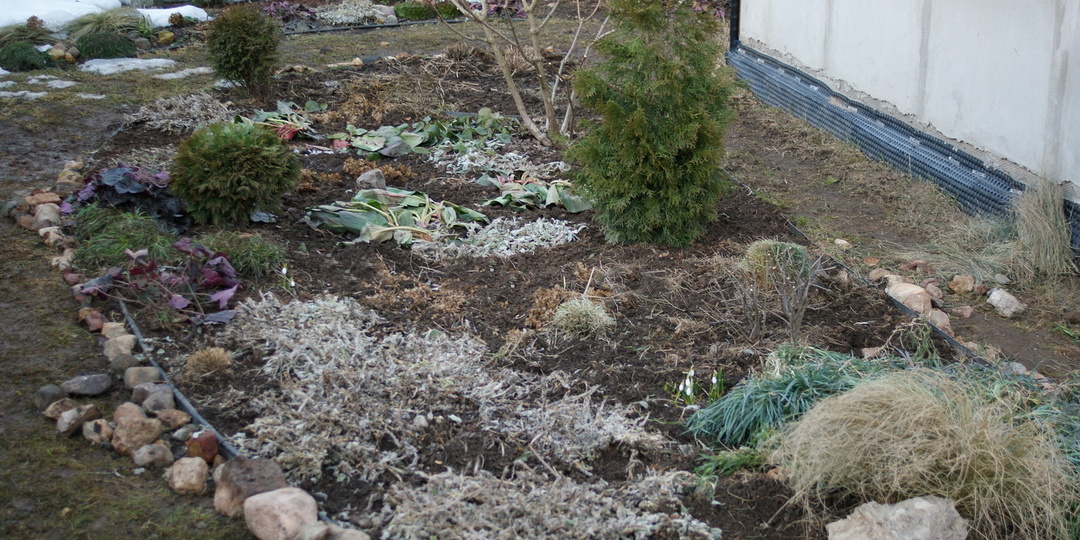 Особенности садоводства с детьми