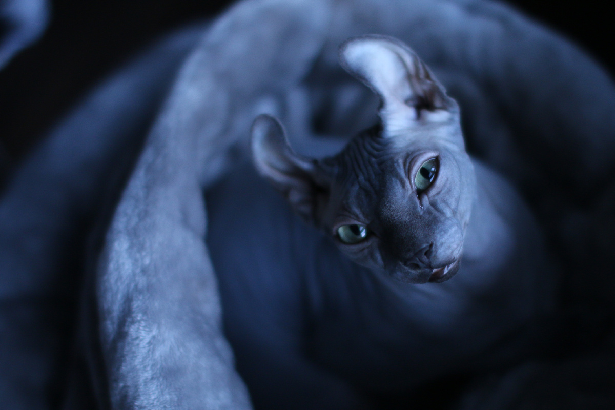 Уже неделю течёт глаз и появляются единичные папулы по телу - в прошлом году была подобная реакция на солнце, но чуть позже по датам