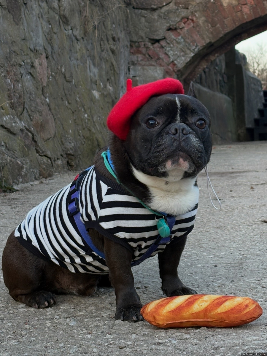 Фото из группы «Бароша-скейтер» в соцсети «ВКонтакте»