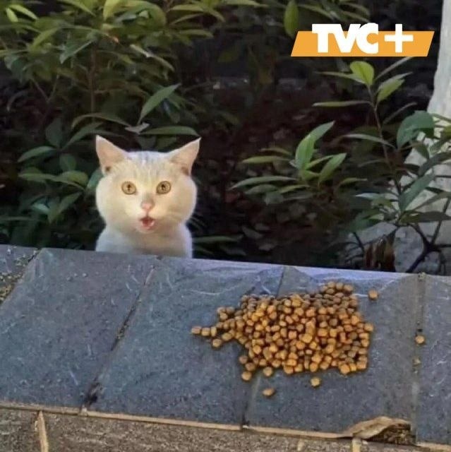 "Это всё мне?"