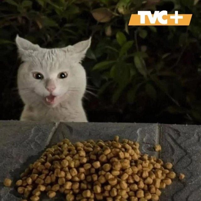 "И это снова мне?"