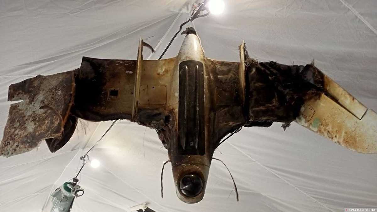     Украинский беспилотник (архив)   
(с) ИА Красная Весна