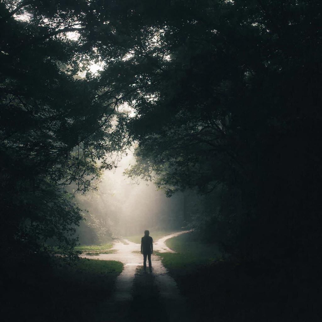 Каждый шаг в дикой природе – это выбор. Но что, если выбор уже сделан за тебя?