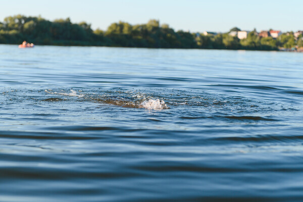 Hryshchyshen Serhii/Shutterstock/FOTODOM   📷