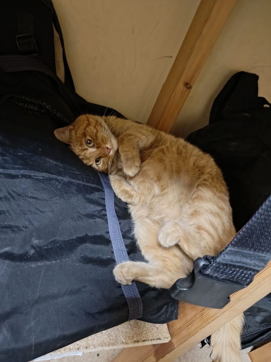 Да, иногда тем, кто помогает, тоже нужна помощь!