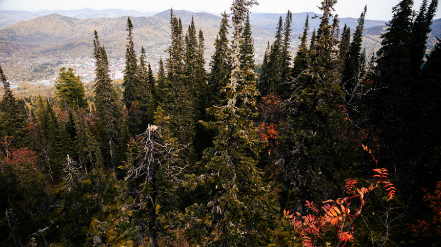    Фото: www.globallookpress.com/Anastasia Sorgina