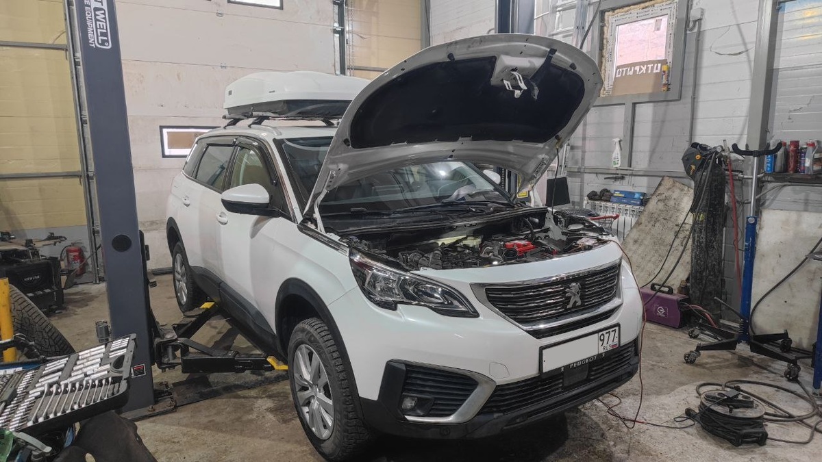 Пежо 5008 — отключение мочевины, удаление сажевого фильтра, ЕГР
