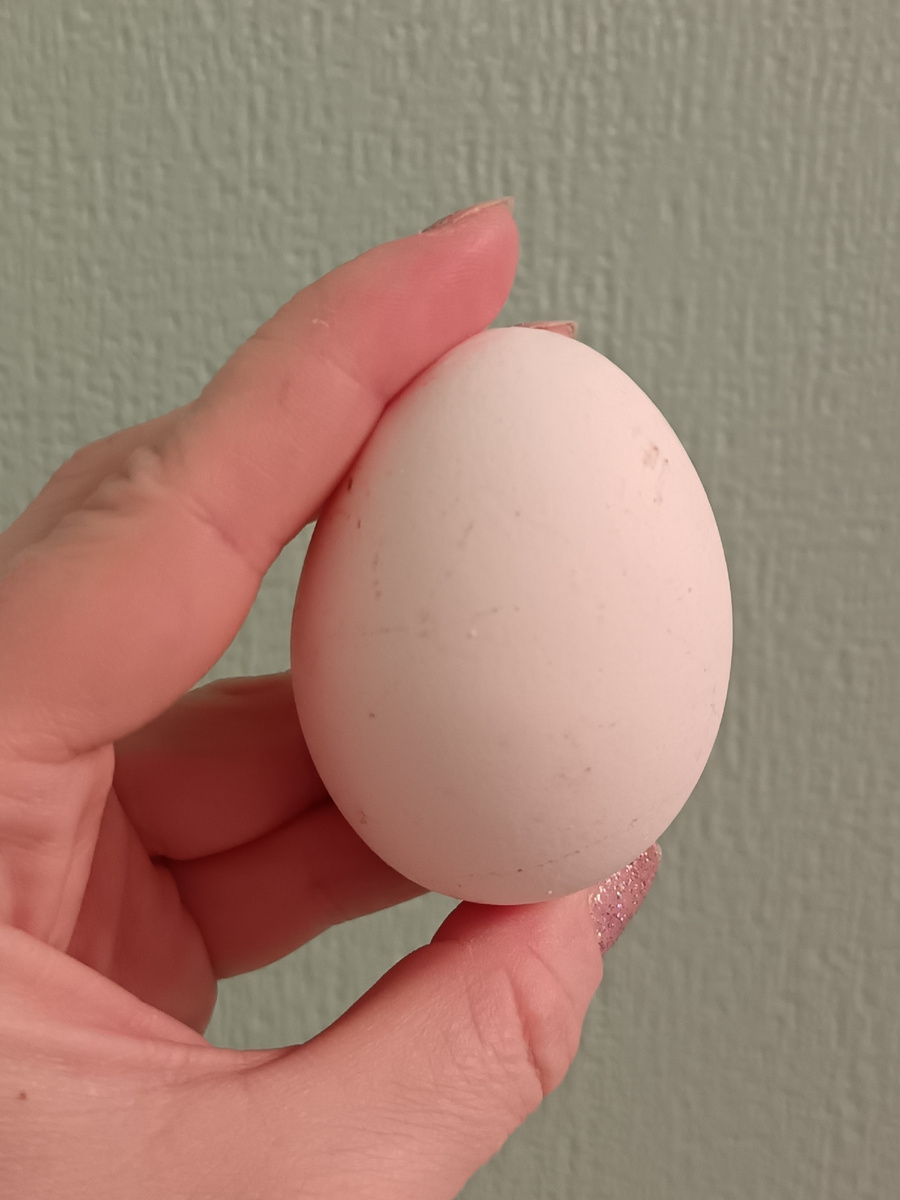 Защищено авторском правом. Elena. 