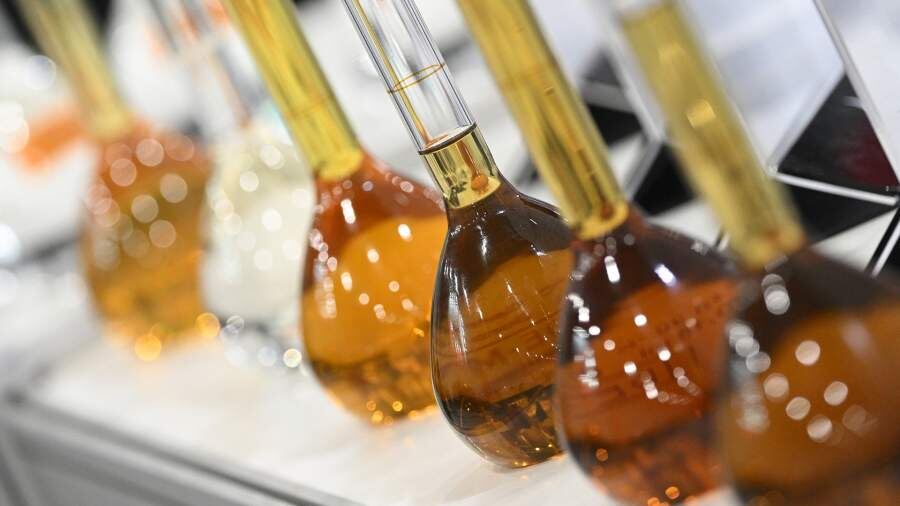    Фото: РИА Новости/Максим Богодвид