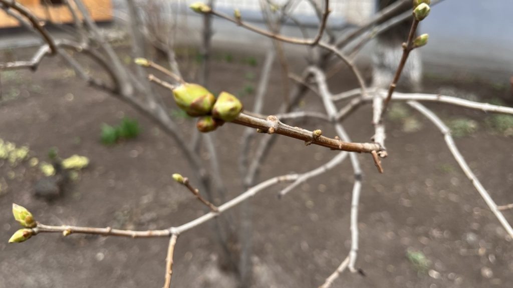    Фото: Г. Ященко. Галина Ященко