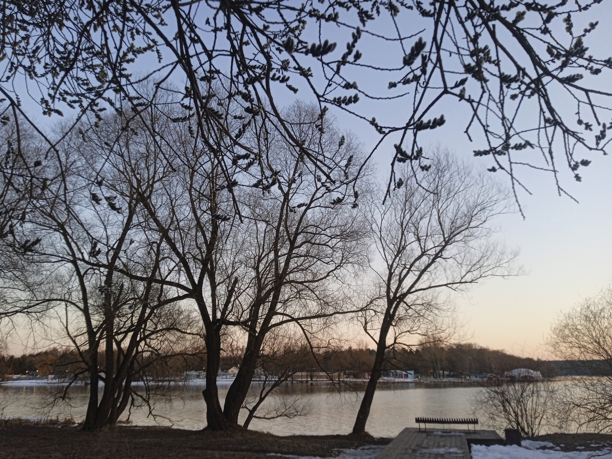 1. Москва 25 марта 2026. Фотография авторская.