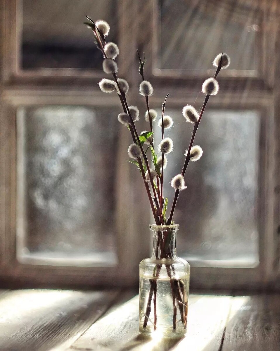 2. Свет, который мы все узнаём. Иллюстрации из открытых источников в сети.