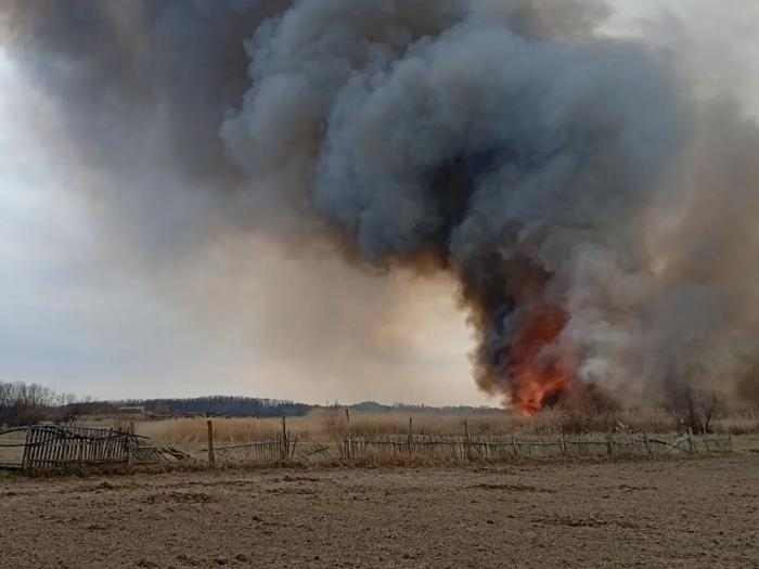 боевики ВСУ нанесли более 440 ударов по территории Алешкинского округа с 14 по 20 марта, источник мессенджер МАХ сообщество Таврия. Новости Херсонской области