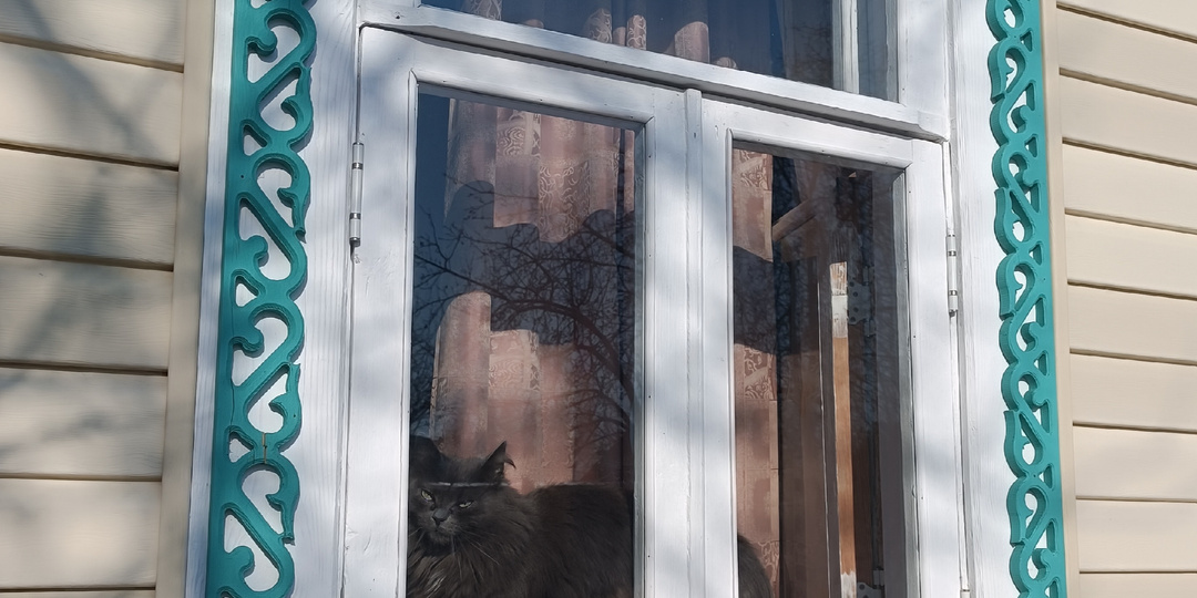 Небольшие весенние размышления