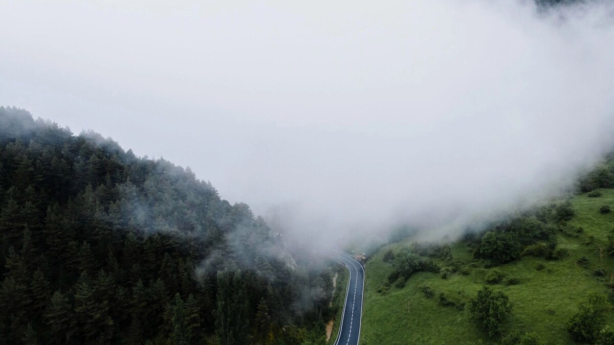    туман   freepik.com