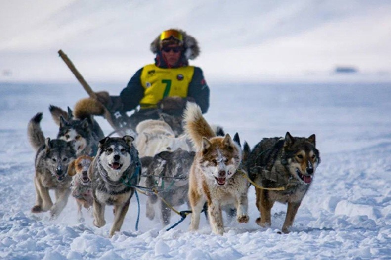 Фото: департамент физкультуры и спорта 