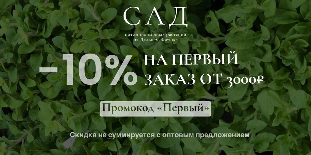 Рады приветствовать вас — и подарить приятный бонус