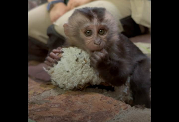 фото: vk.com/spbzoopark