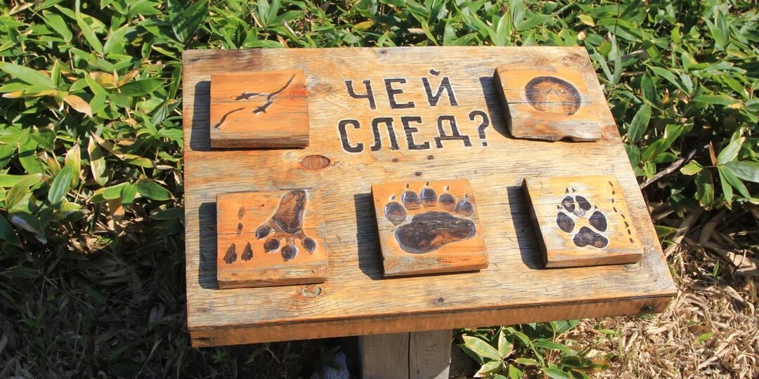 Кунаширский дневник. Блуждание по болоту