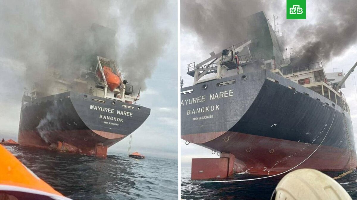    Фото: aapayes / X