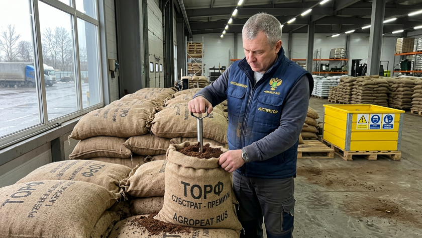    Фото ИИ progorodnn.ru