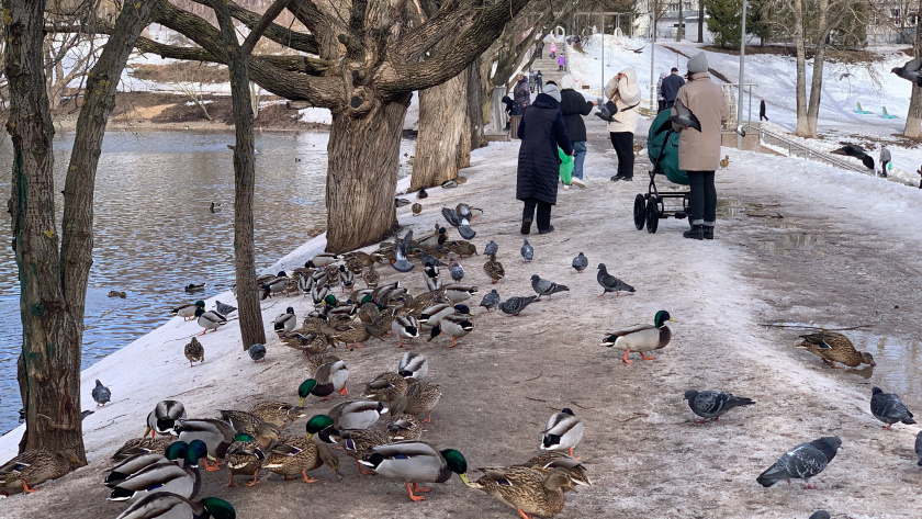    Фото: progorod43.ru