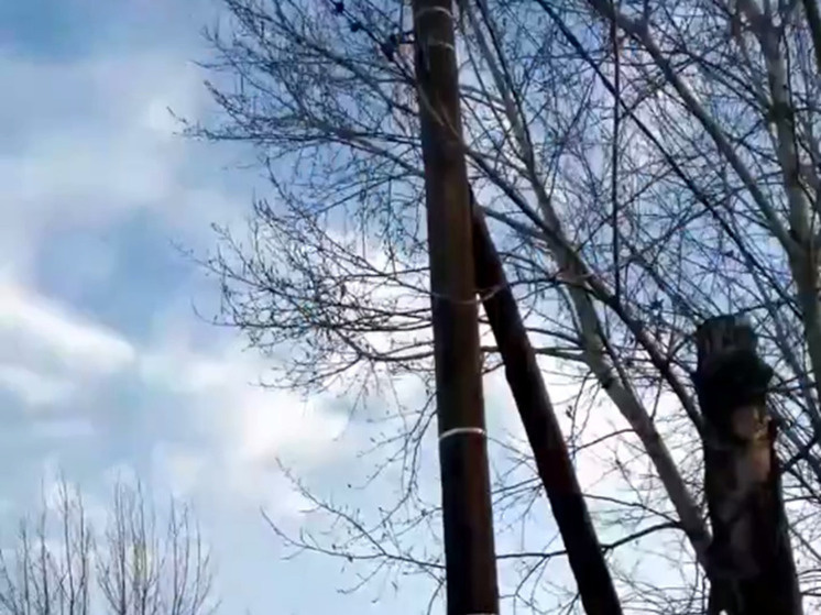     Фото: скрин с видео ОНФ в Бурятии.