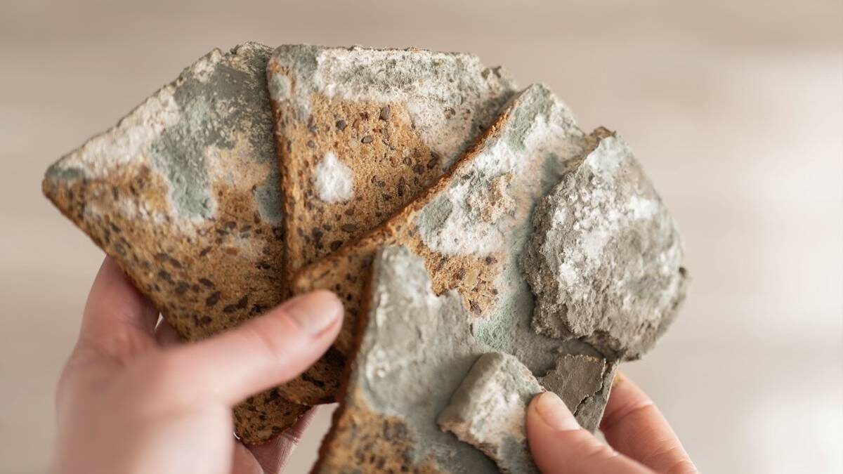    Фото: Shutterstock