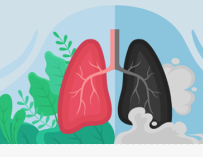 Изображения из открытых источников 