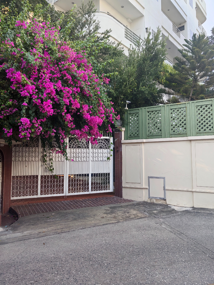 У нас тоже весна, цветение