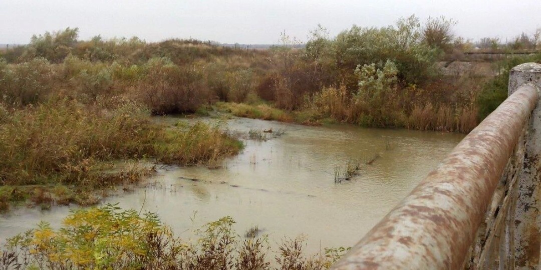 В сети появились кадры последствий обмеления водохранилища в Киеве