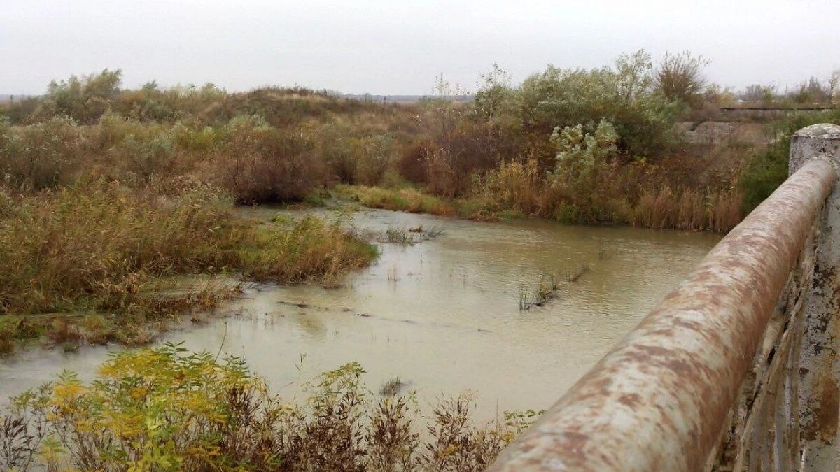    Фото: телеканал «Краснодар»