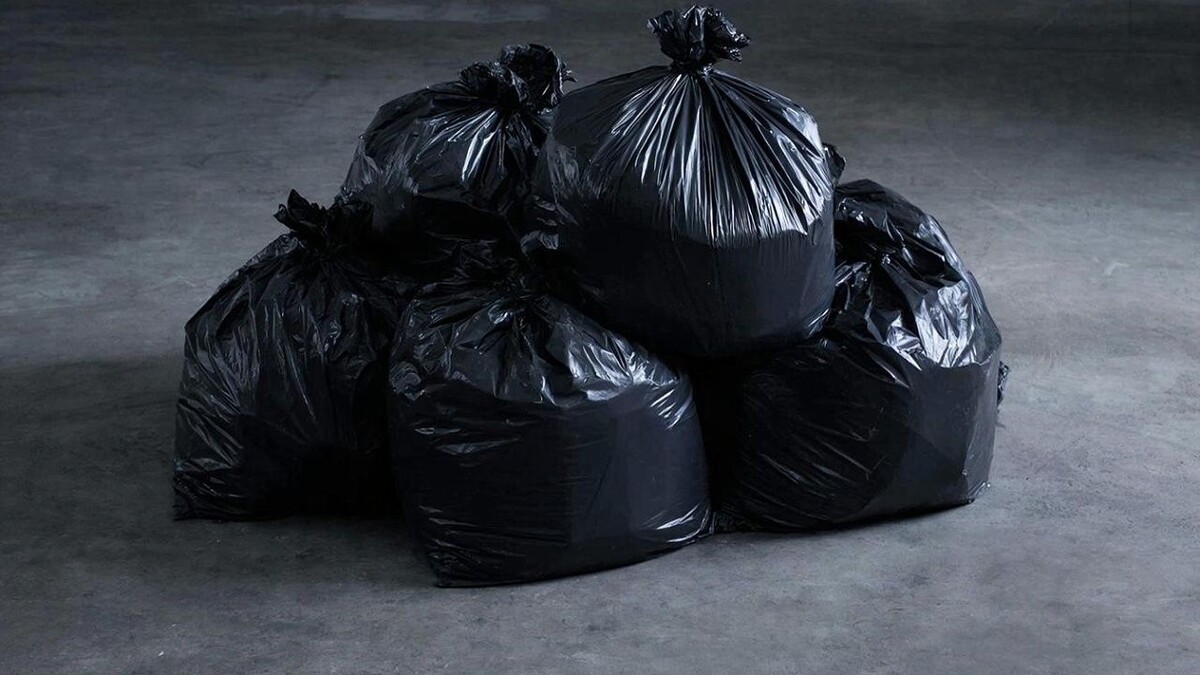    Изображение создано при помощи ИИ.