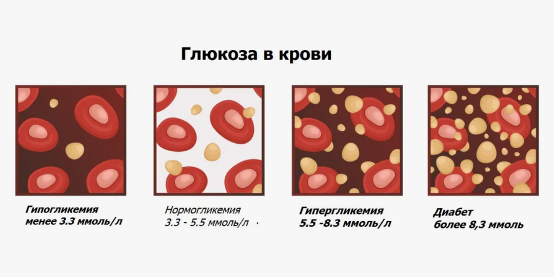 Как влияет алкоголь на сахар в крови: повышает или понижает ли его количество?