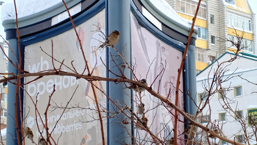    Фотоархив редакции