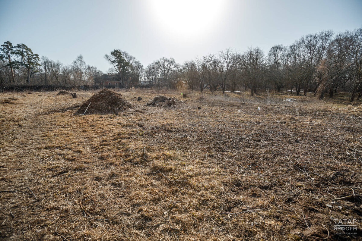 Фото: © Владимир Васильев / «Татар-информ»