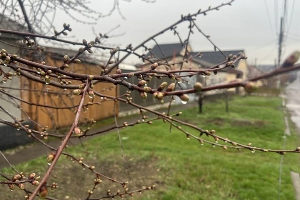    В пятницу, 27 марта, метеорологическая обстановка в Луганской Народной Республике будет определяться прохождением влажного атмосферного фронта Валерия РАЗИНА