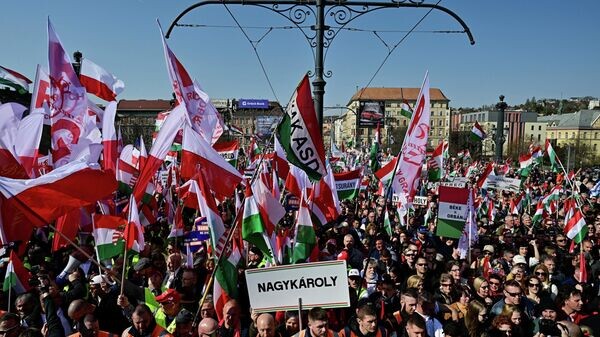    © REUTERS / Marton Monus