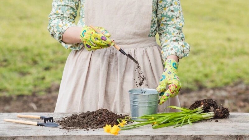      Фото: @freepik / ru.freepik.com