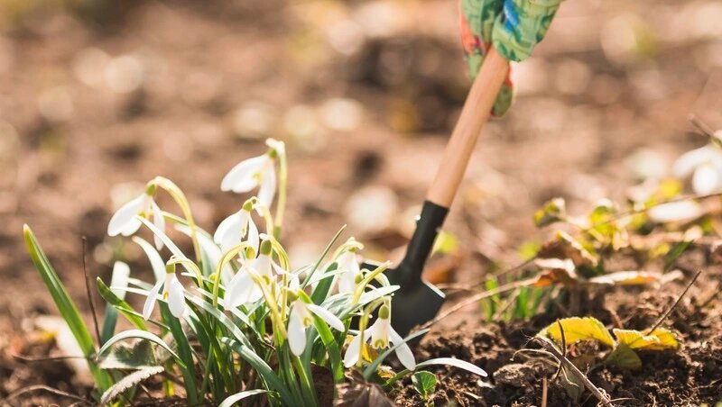    детальный лунный календарь на апрель 2026 (по дням) Фото: @freepik / ru.freepik.com