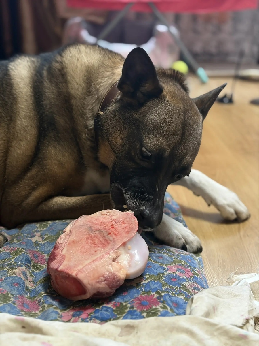 Постелила старую пеленку, чтобы сохранить наматрасник... Похоже, надо будет шить новый.