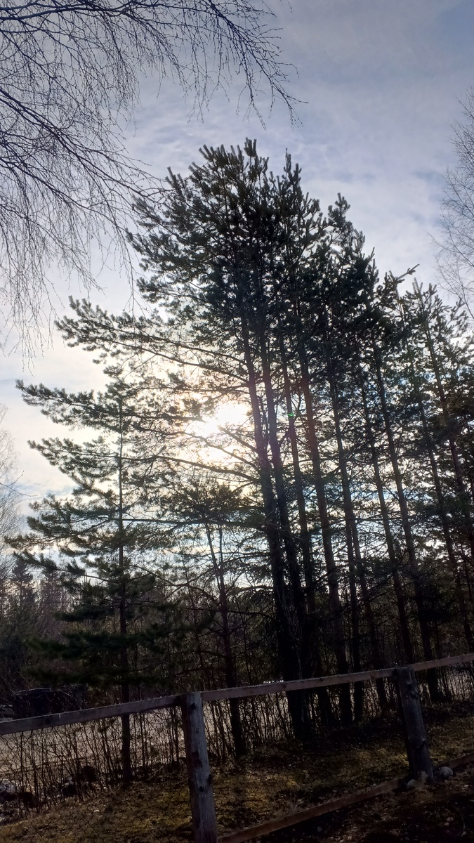 фото: так начинается утро