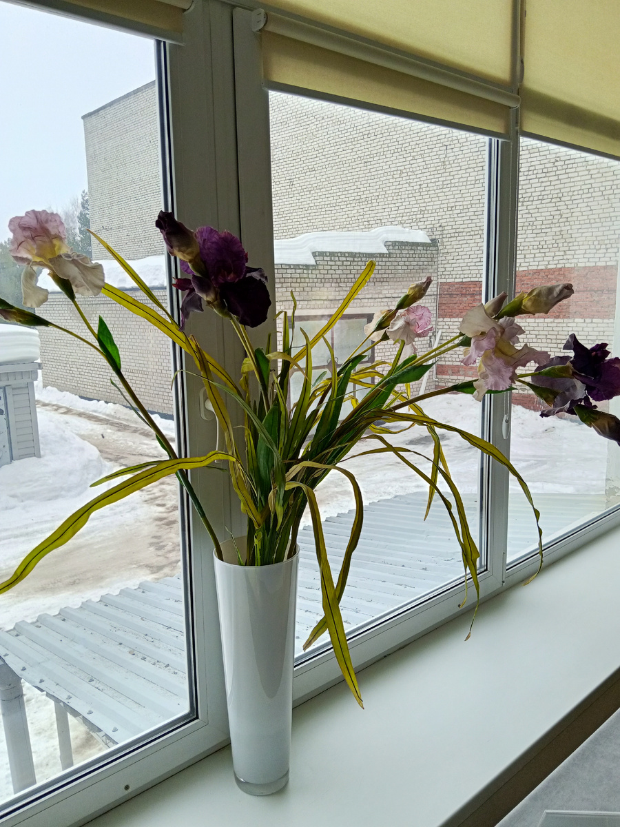 Фото автора.