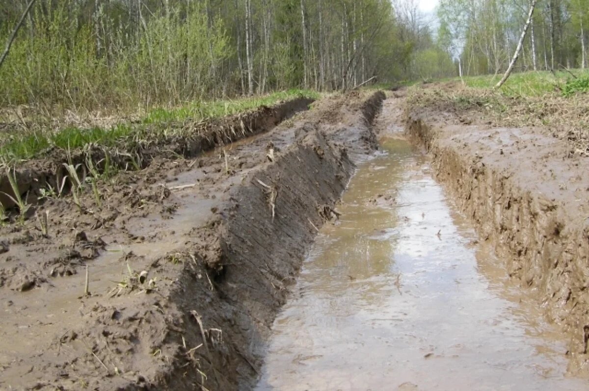    Компанию в Светлинском районе лишили огромного участка земли в 16 тыс. га.