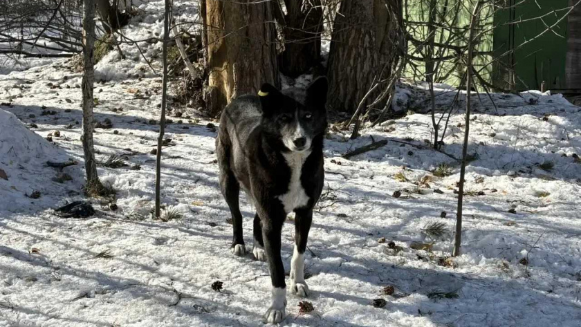    Фото администрации города Иркутска