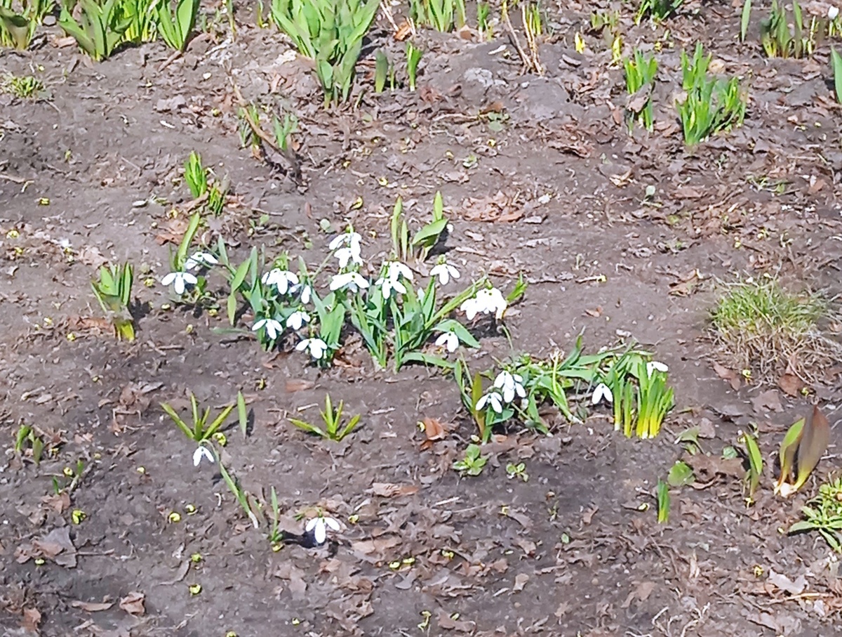 Все фото автора