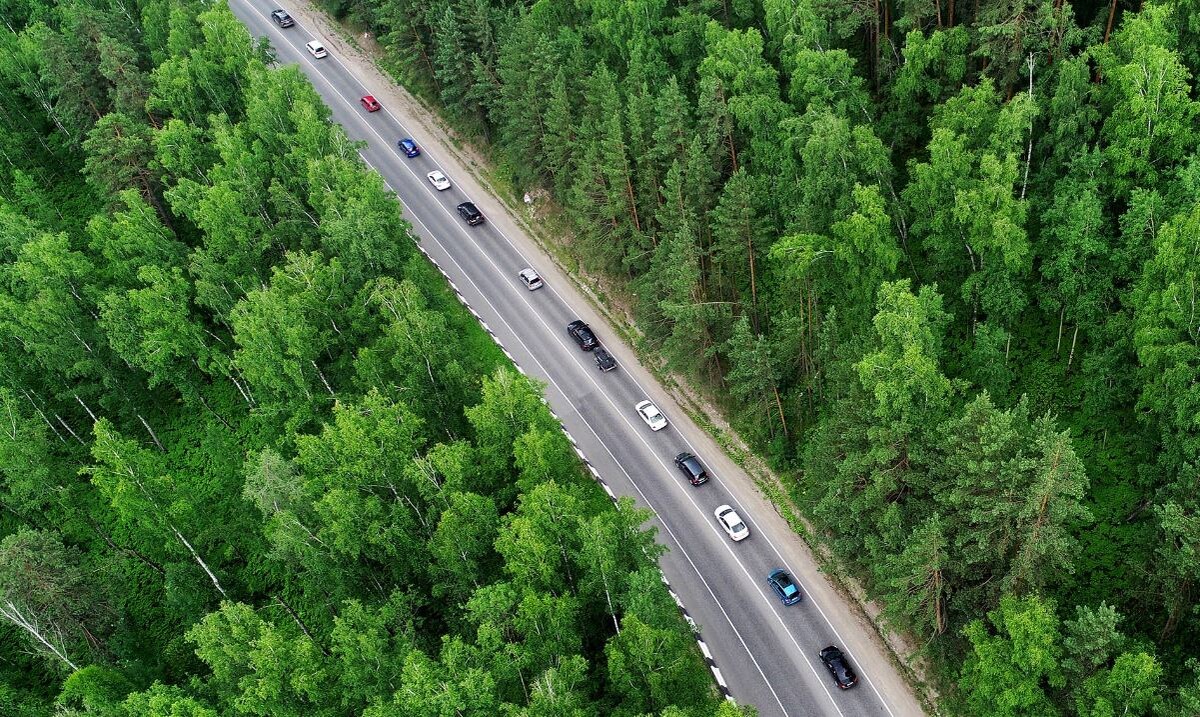 Илья Наймушин/РИА Новости