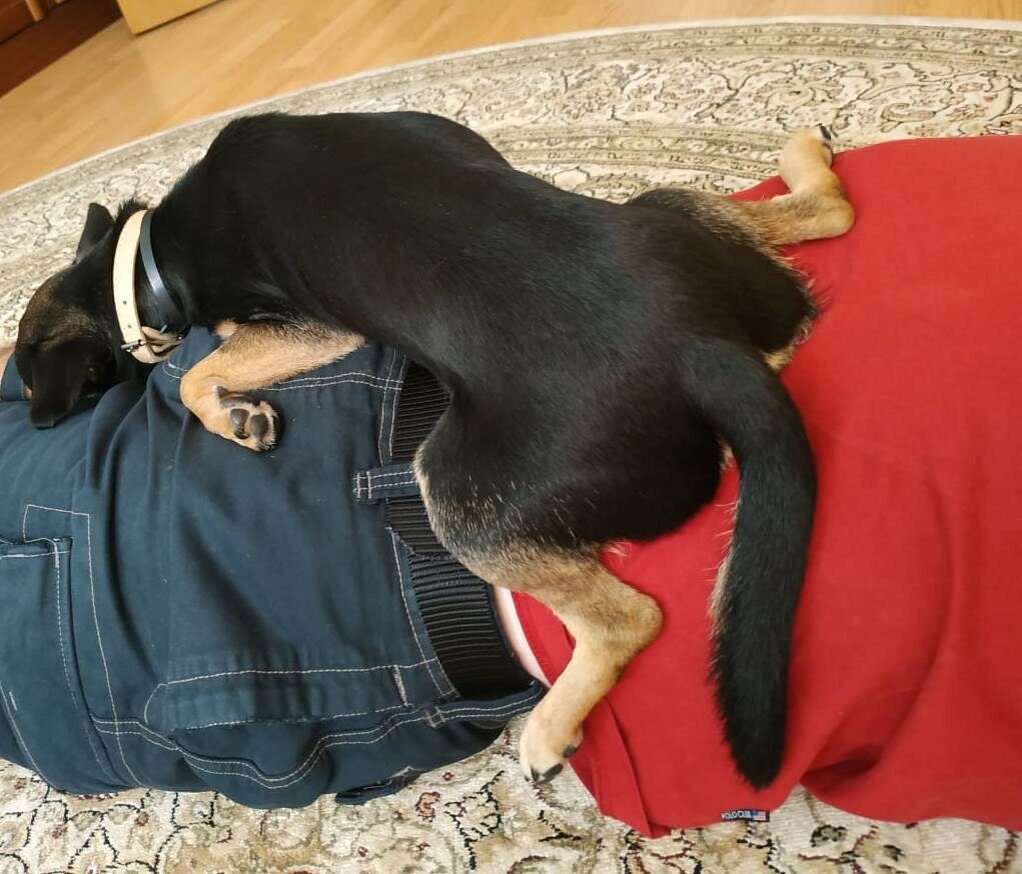 Мой Вовочка!